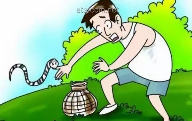 男子遭毒蛇咬伤 忍痛自救反遭二次咬伤案例研究